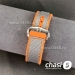 Часы Omega Seamaster Planet Ocean (24148)