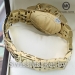 Женские часы MICHAEL KORS S-0894